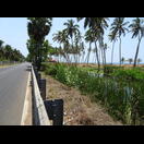 Rechts der Straße das Arabische Meer